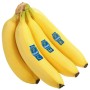 BANANE CHIQUITA FRESCHE
